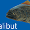 halibot