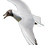 wibbleypants